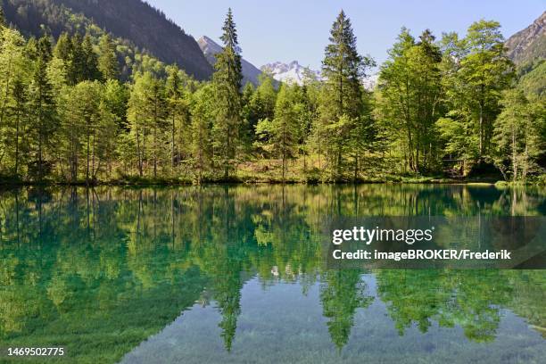Lessee Vector Oberstdorf High Res Illustrations - Getty Images