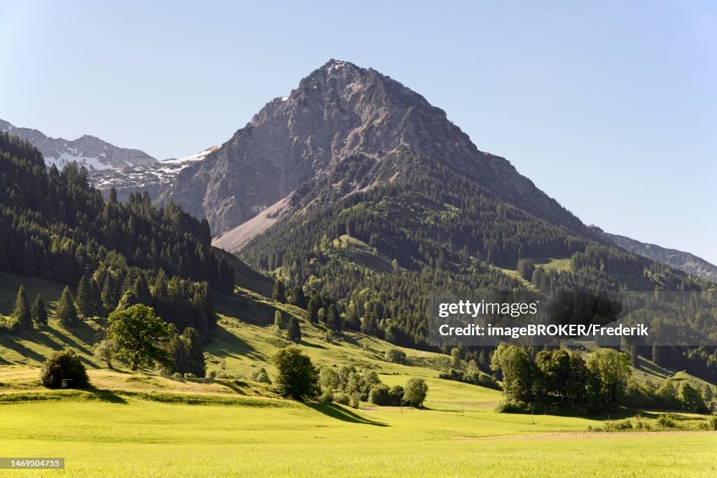 View to the mountain Rubihorn 1957 m, Reichenbach near Oberstdorf, Allgaeu Alps, Allgaeu, Bavaria, Germany