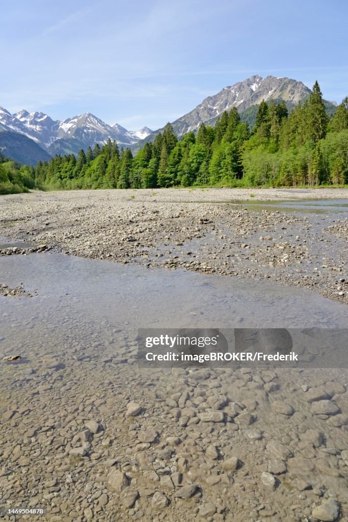 View of the Stillach river landscape and the mountains, Stillach valley near Oberstdorf, Allgaeu Alps, Allgaeu, Bavaria, Germany