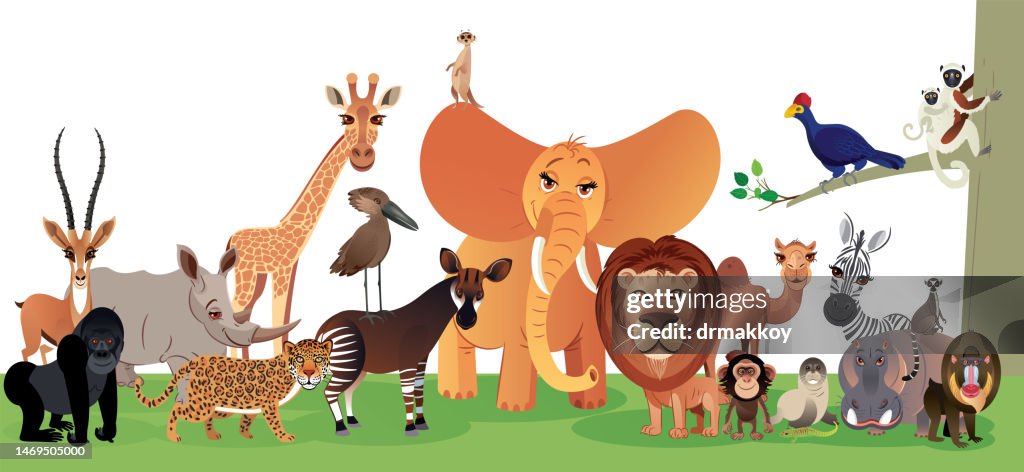 African Animals Poster