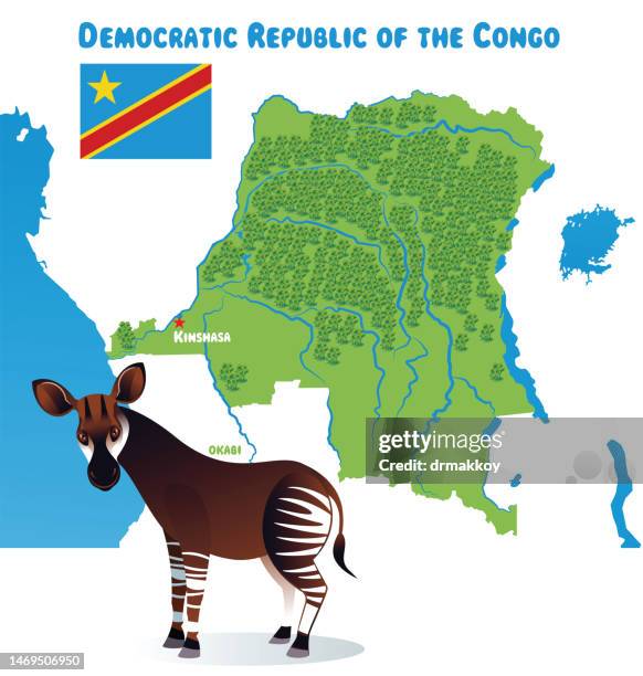 democratic republic of the congo and okapi - kinshasa 幅插畫檔、美工圖案、卡通及圖標