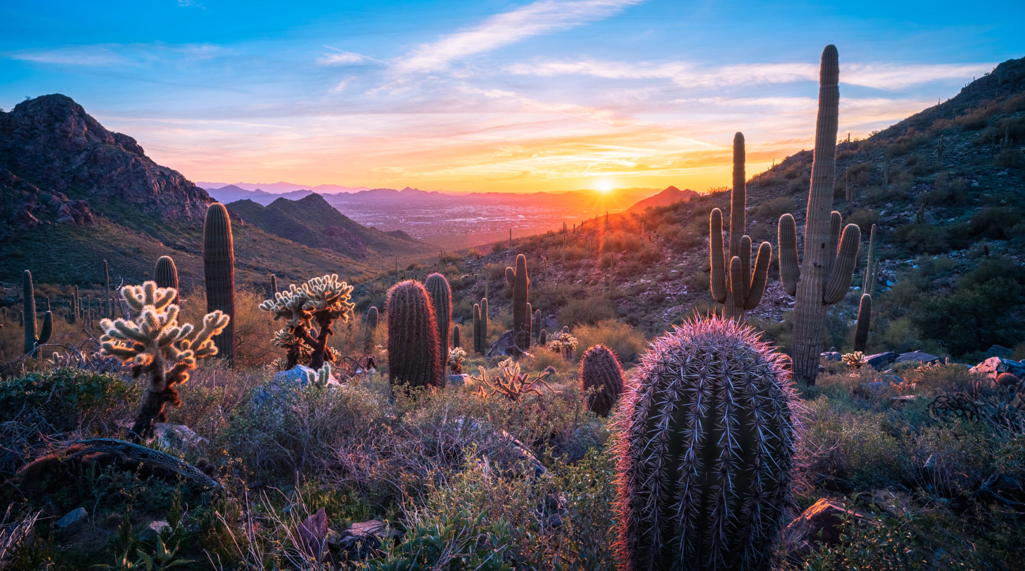morning desert
