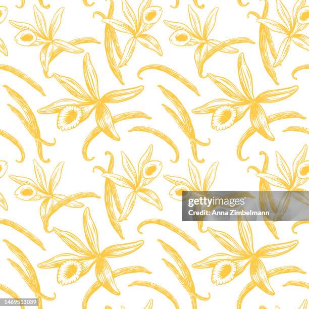 vanilla stick and floral vector drawn seamless pattern. vanilla blossom illustration. - vanilla stock illustrations