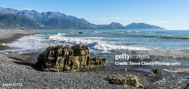 kaikoura - marlborough new zealand stock pictures, royalty-free photos & images