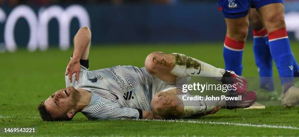 Diogo Jota of Liverpool during the Premier League match between Crystal Palace and Liverpool FC at Selhurst Park on February 25, 2023 in London,...