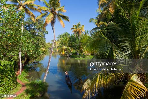 backwaters, alappuzha or alleppey, kerala, india - backwater stock pictures, royalty-free photos & images