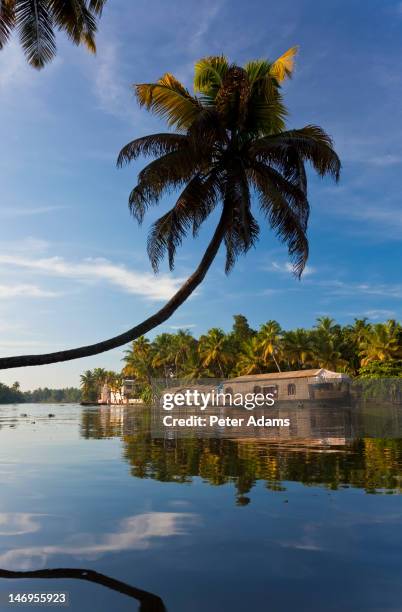 houseboat, backwaters, alappuzha, kerala, india - canal interior imagens e fotografias de stock
