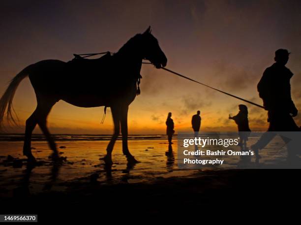 a dusky evening by clifton beach - montar a caballo por placer fotografías e imágenes de stock