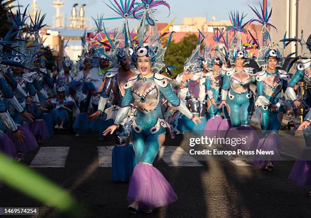 Several people in costume during the Gran Cabalgata del Carnaval del Puerto de Rosario , on 25 February, 2023 in Fuerteventura, Canary Islands,...