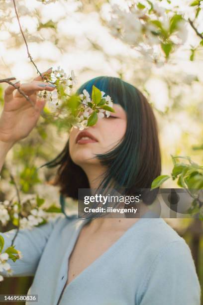 asiatische frau mit blauen haaren auf dem hintergrund eines blühenden baumes. bang frisur. frühlingsgarten. weiße blüten - mai stock-fotos und bilder
