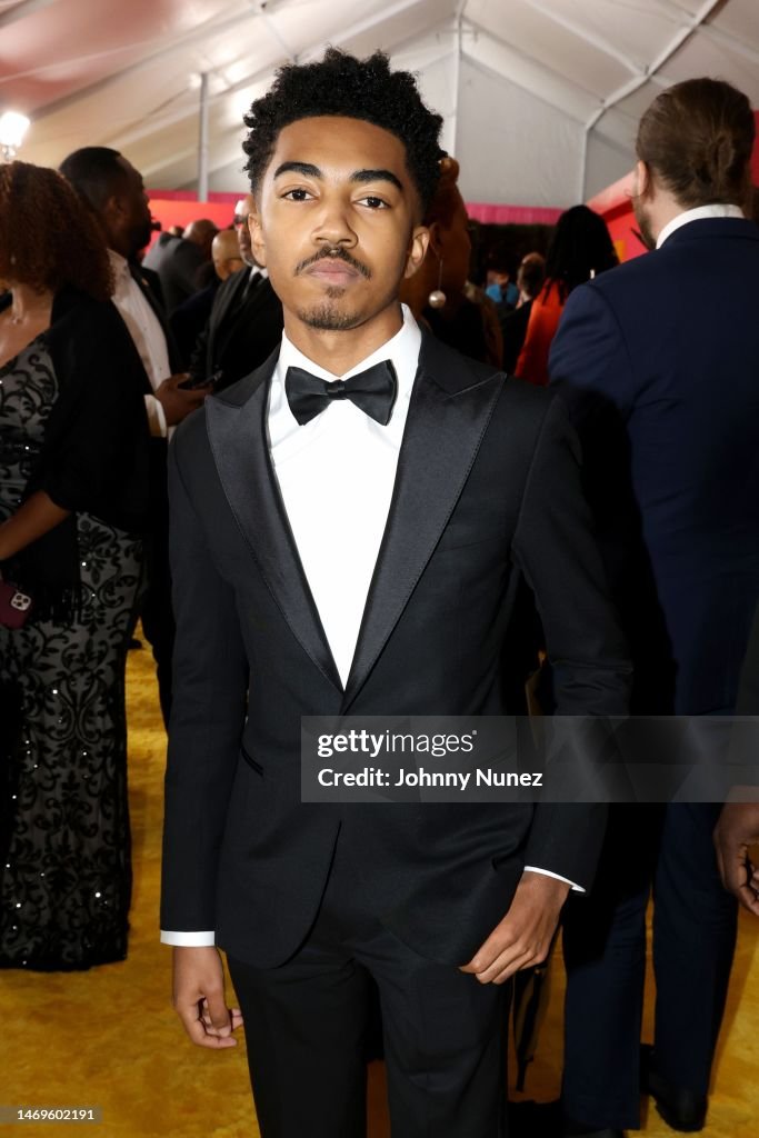 54th NAACP Image Awards - Red Carpet