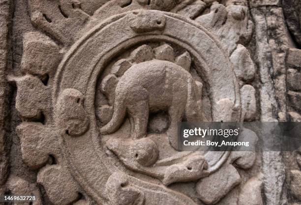 the monster (maybe dinosaurs) carving at 800 years old in ta prohm temple in siem reap of cambodia. - bas reliëf stockfoto's en -beelden