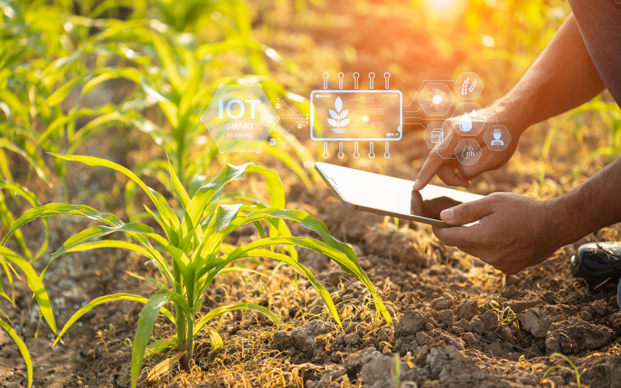 agriculture innovation