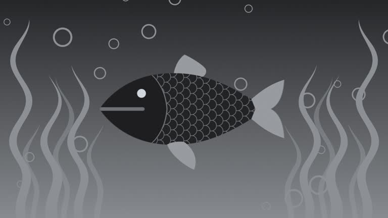 Looping Animation Fish 1,535 Fish Animation Stock Videos, Footage, & 4K Video Clips - Getty Images