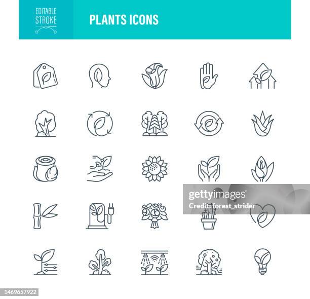 plants icons editable stroke - bay leaf stock illustrations