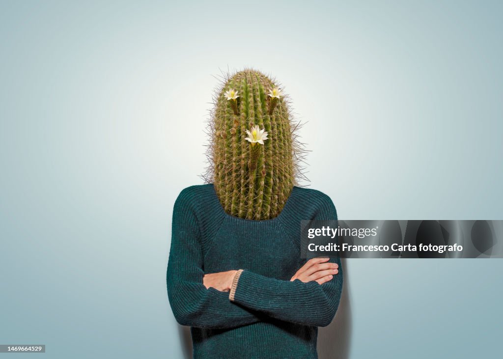 Man with cactus head