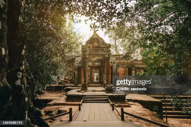 angkor wat cambodia. ta prohm khmer temple - angkor stock pictures, royalty-free photos & images