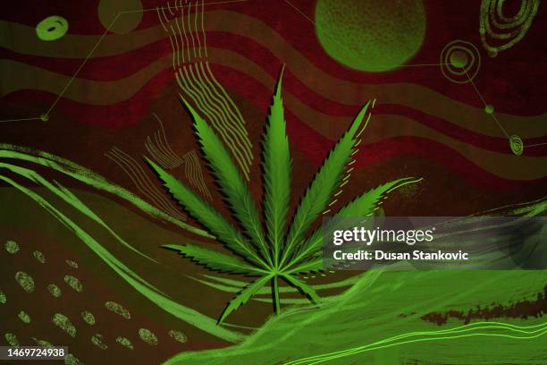 creative art cannabis - cannabinoid stock illustrations