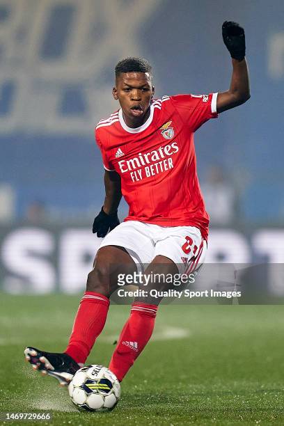 Florentino of SL Benfica in action during the Liga Portugal Bwin match between FC Vizela and SL Benfica at Estadio do Futebol Clube de Vizela on...