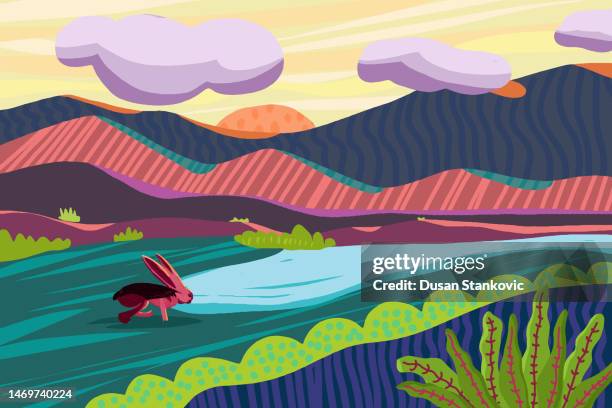 304 Rabbit River Stock Photos, High-Res Pictures, and Images - Getty Images