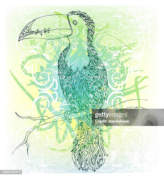 toucan in the wild - toucan stock illustrations