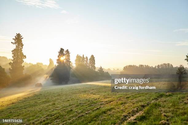 summer company. - ascot uk stock pictures, royalty-free photos & images