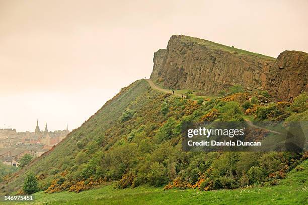 arthurs seat - arthur duncan stock pictures, royalty-free photos & images