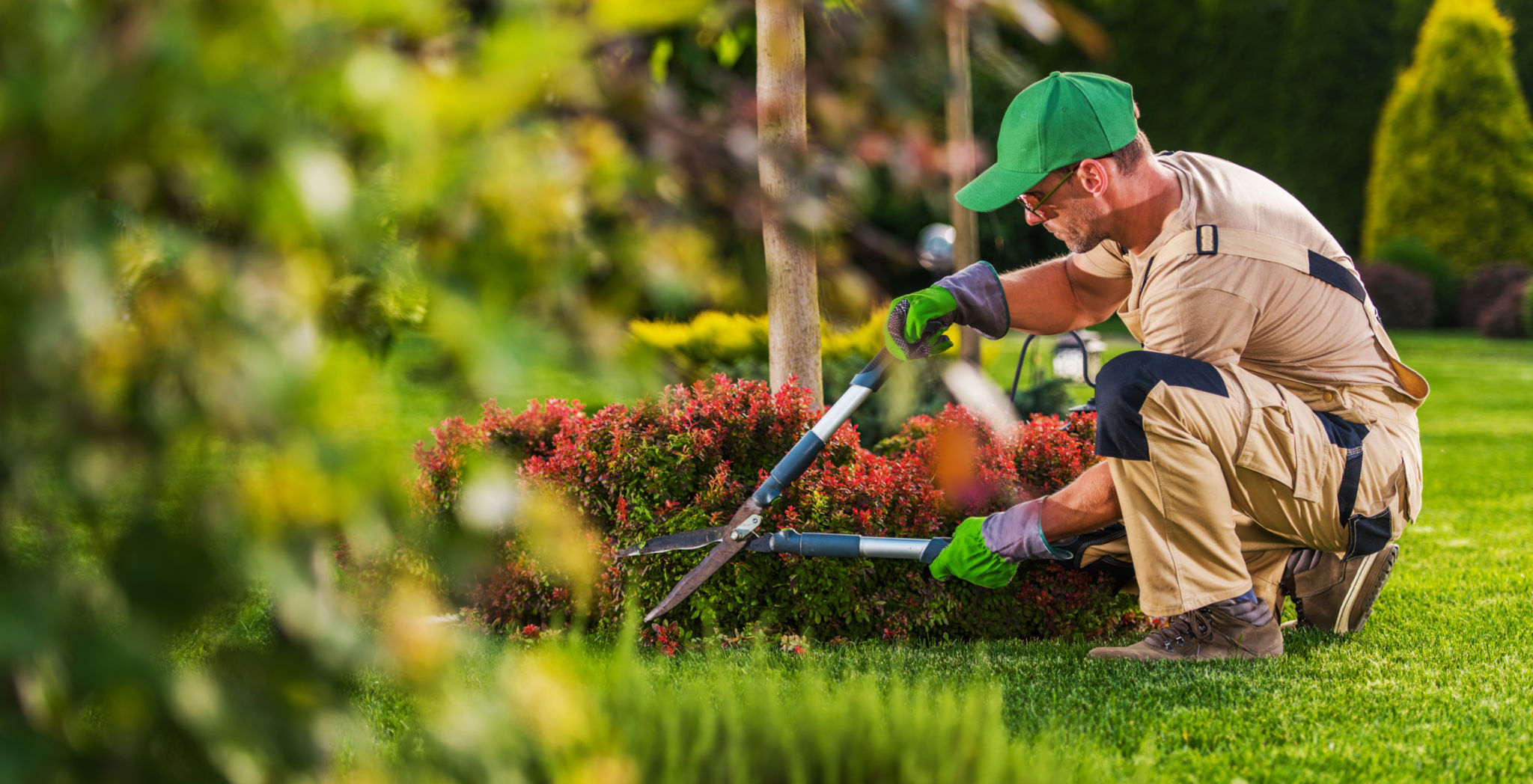 landscaping contractor