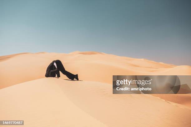 砂の中の頭 - 比喩 - 頭隠して尻隠さず ストックフォトと画像