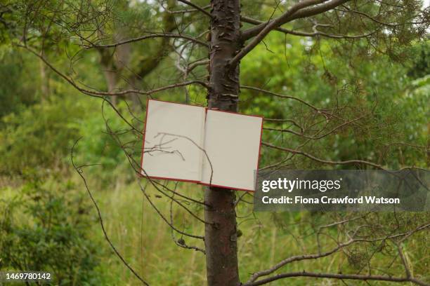 blank book cover resting on a tree in a forest - watson stock pictures, royalty-free photos & images