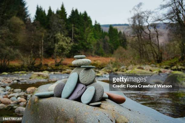 stacked pebbles on large rock with scottish forest in background - watson stock pictures, royalty-free photos & images