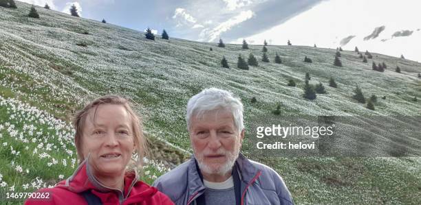 mature couple making selfie against mountain daffodils in mountains - daffodil field stock pictures, royalty-free photos & images