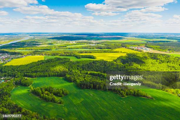 vista aerea del prato. fotografia con droni. foresta. primavera. campo. sostenibilità. - earthday foto e immagini stock