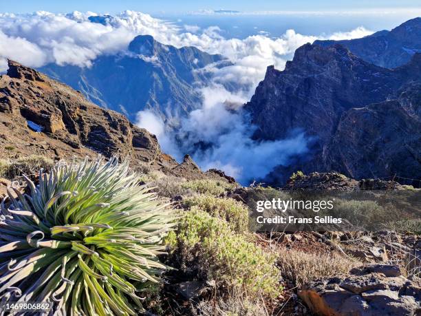 view into the caldera de taburiente, roque de los muchachos, la palma - caldera stock pictures, royalty-free photos & images