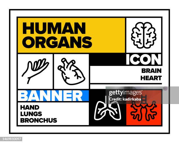 human organs line icon set and banner design - human bladder stock illustrations
