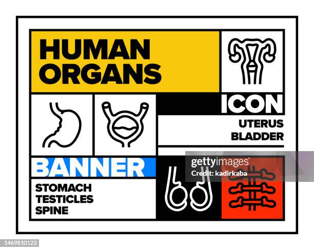 human organs line icon set and banner design - supplements hand stock illustrations