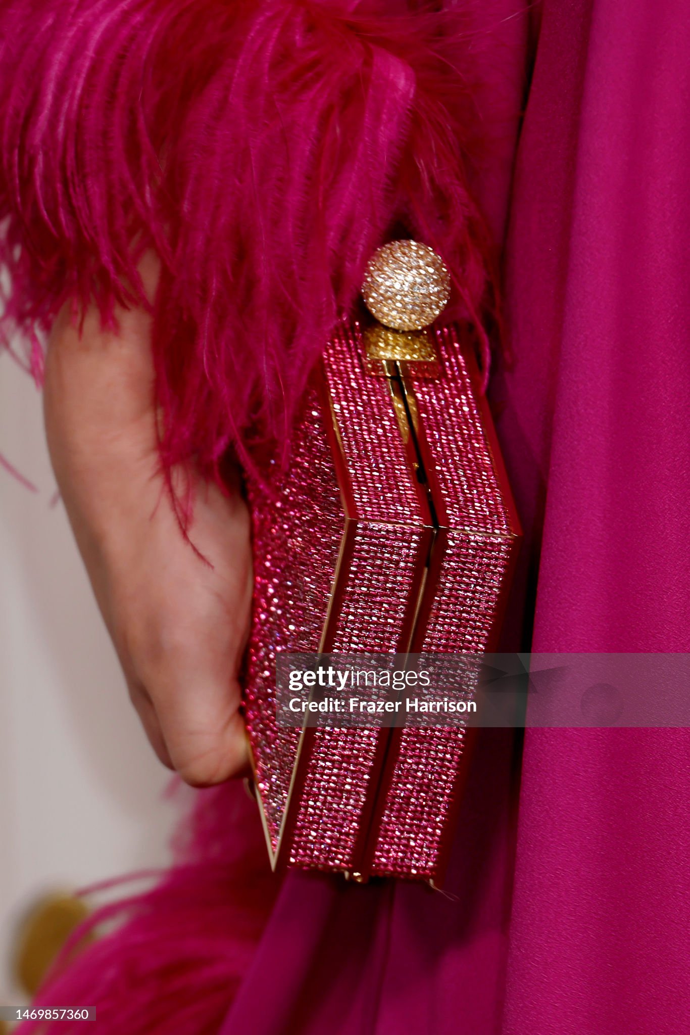 abby-elliott-bag-detail-attends-the-29th-annual-screen-actors-guild-awards-at-fairmont-century.jpg