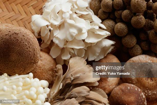 japanese edible mushroom - klapperschwamm stock-fotos und bilder