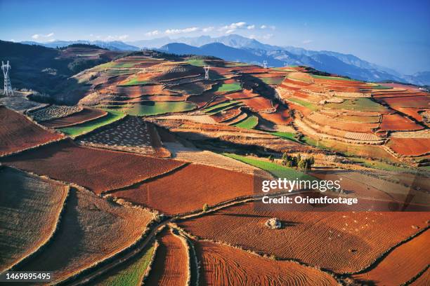 luftaufnahme der landschaft der roten erde in dongchuan, yunnan, china. - reisfeld stock-fotos und bilder