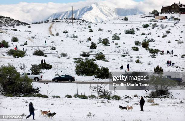 People walk with dogs in the snow as others gather and sled on a hillside in Los Angeles County on February 26, 2023 near Acton, California. A major...