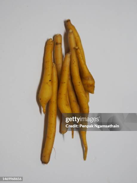 Rotenta 110 Boesenbergia Rotunda Stock Photos, High-Res Pictures, and Images ...
