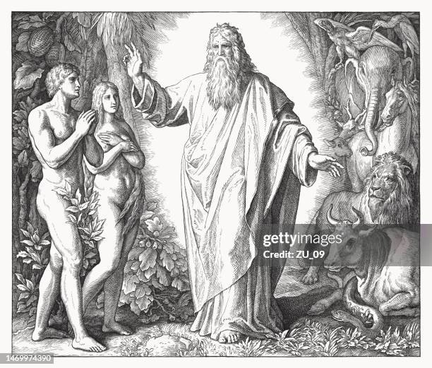 ilustraciones, imágenes clip art, dibujos animados e iconos de stock de creación del mundo (génesis 1, 24-31), xilografía, publicado en 1860 - dios