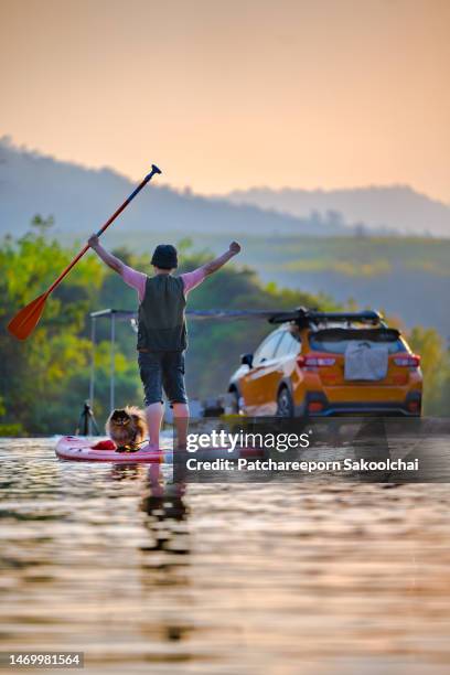 traveler - surf dog competition stock pictures, royalty-free photos & images