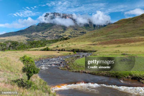 kukenan tepui with river in foreground - venezuela roraima stock pictures, royalty-free photos & images