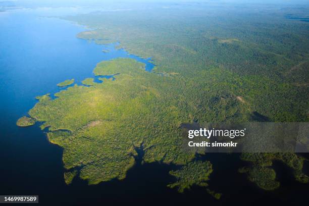 réservoir de guri entourant la forêt amazonienne - foret amazonienne photos et images de collection