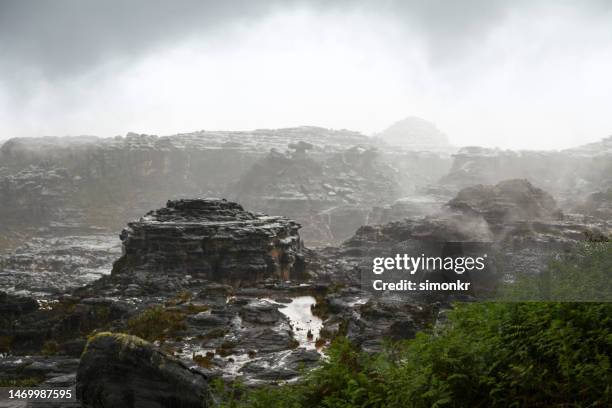 mount roraima in winter - mt roraima stock pictures, royalty-free photos & images