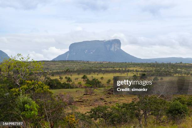 view of mount roraima against cloudy sky - mt roraima stock pictures, royalty-free photos & images