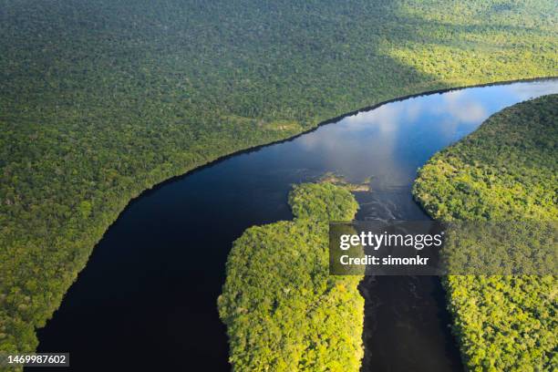 amazon rainforest and rio churun river - bolivar imagens e fotografias de stock