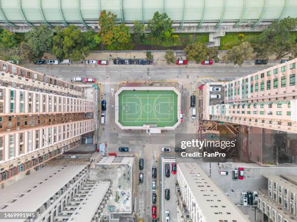 outdoor courts in the city of hong kong - fan palm tree stock-fotos und bilder