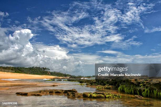 bahia beach - trancoso stock pictures, royalty-free photos & images